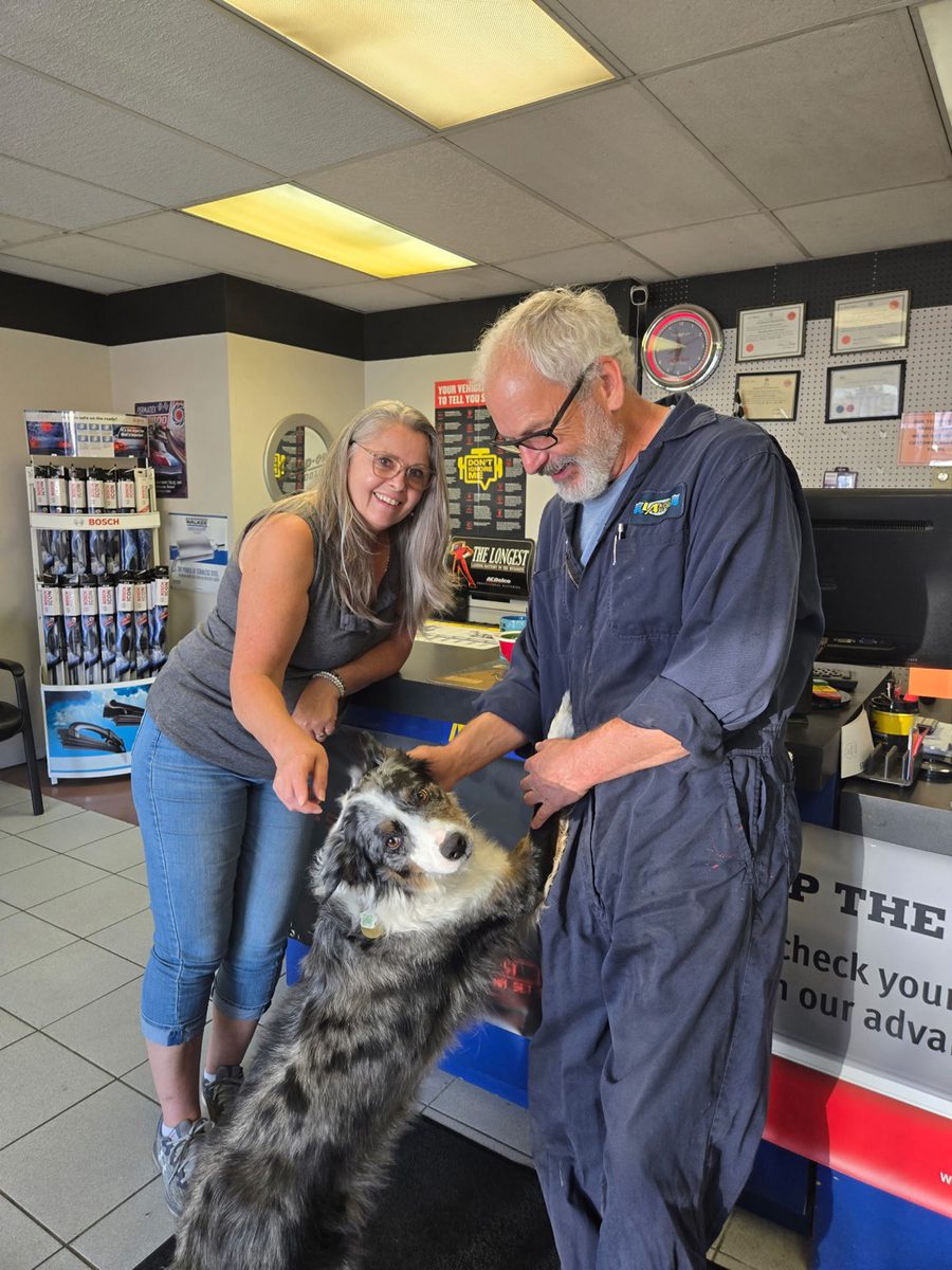 Lakeside Autocare shop